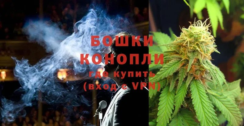 Каннабис SATIVA & INDICA  Кириши 